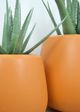 Le Present Belly Terracotta 15" Planter-4