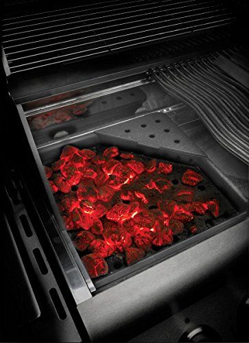 Napoleon Cast Iron Charcoal and Smoker Tray-2