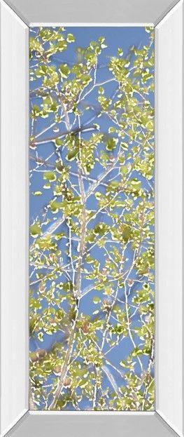 Classy Art Spring Poplars I by Sharon Chandler Wall Art-0