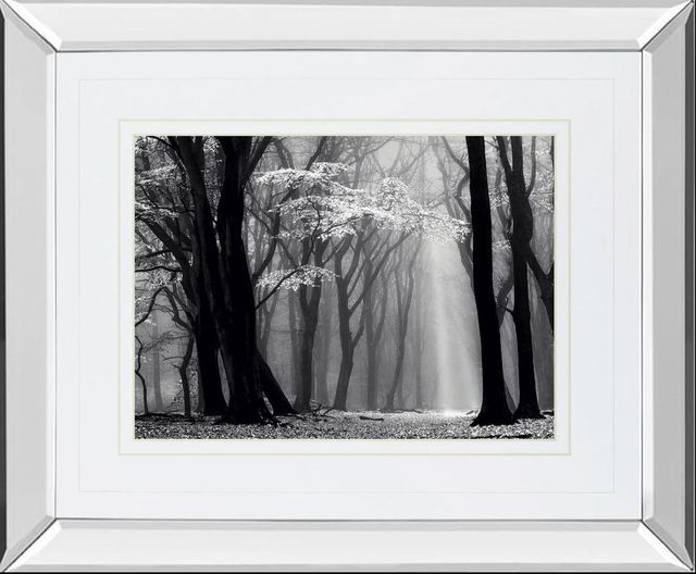 Classy Art Winter Is Coming by Lars Van De Goor Mirror Framed Wall Art-0