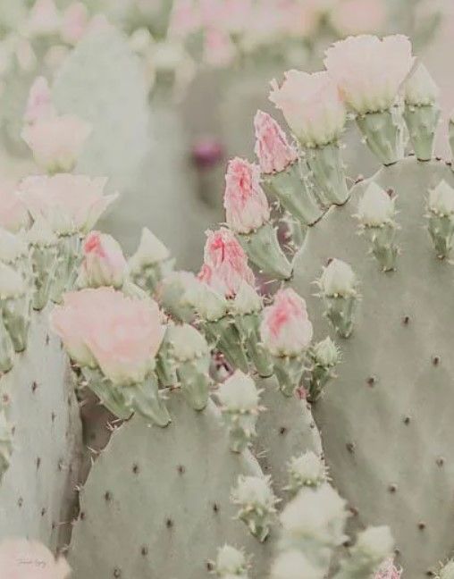 Classy Art Blooms Abound I by Jennifer Rigsby Wall Art-0