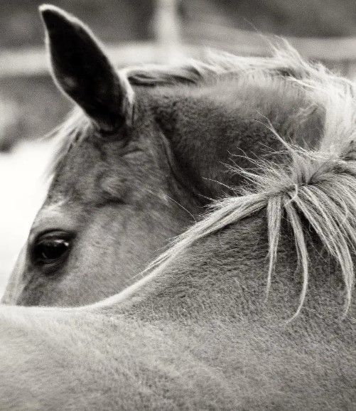 Classy Art Over His Shoulder by Gail Peck Wall Art-1