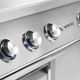 Twin Eagles C Series 2-Burner Stainless Steel Built In Natural Gas Grill-3