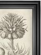 Classy Living Vision Studio Fresco Crown Imperial II Wall Art-1