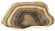 A & B Home Javier Beige/Gray Hand-Carved Zebra Onyx Bowl-0