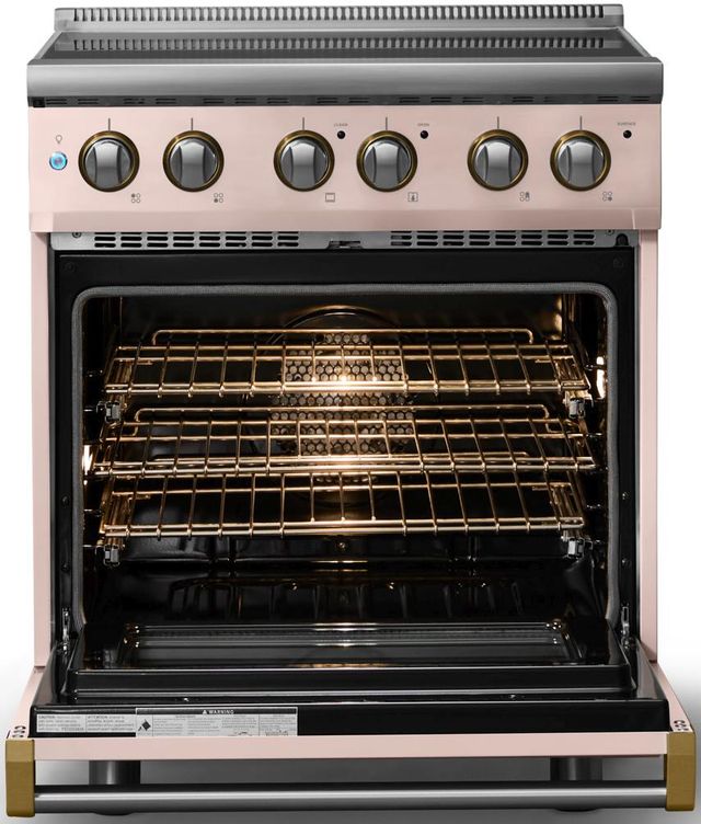 Viking® 5 Series 30" Blush Pro Style Electric Range with Brushed Brass Trim-1