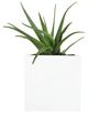 CabanaCoast® Customizable York Aluminum 36" XL Outdoor Square Planter-1
