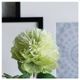 A & B Home Green 18" Faux Peony-2