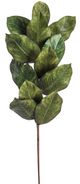 A & B Home Green Magnolia Leaves Spray-0