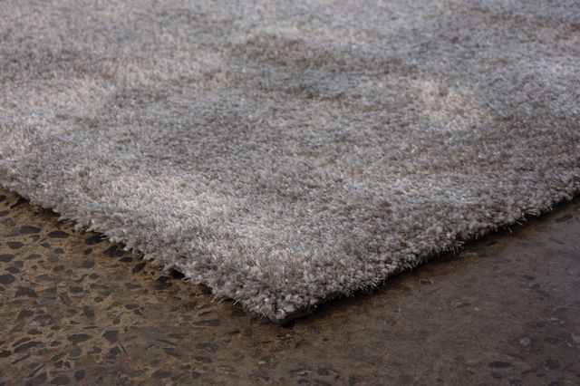 Renwil® Wilma Silver Grey 5' x 7' Area Rug-2
