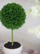 A & B Home 3-Piece Cream/Green Mini Faux Potted Topiaries Set-2