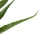 A & B Home Green Artificial Yucca Plant with Cement Pot-3