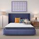 Serta® Five Star Dream Haven 7" Wrapped Coil Firm Tight Top Queen Mattress in a Box-3