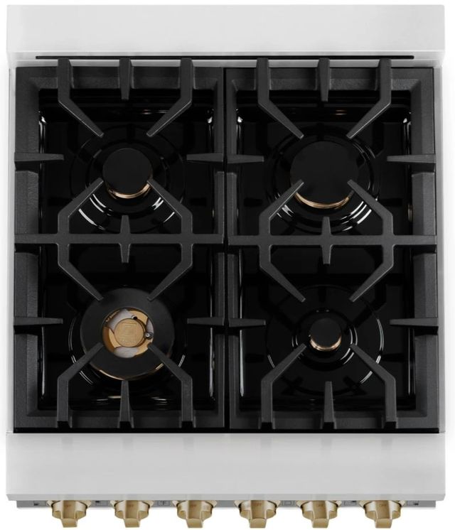 ZLINE Autograph Edition 24" Stainless Steel Pro Style Dual Fuel Range-2