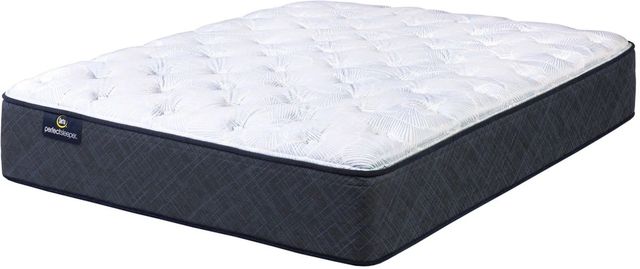 Serta® Perfect Sleeper® Adoring Night 10.5" Wrapped Coil Plush Tight Top Queen Mattress-0
