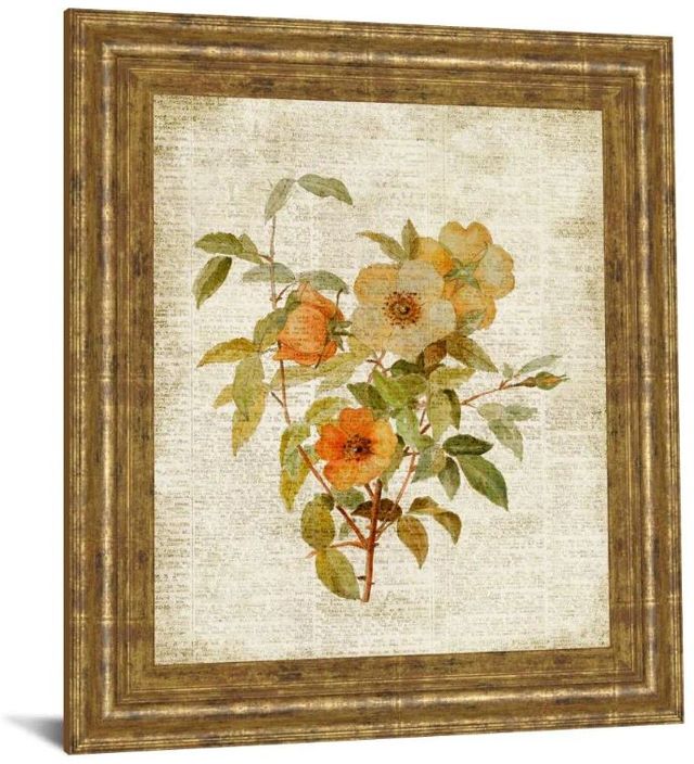 Classy Art Beige/Tan Roses on Newsprint I by Lanie Loreth Framed Print Wall Art-1