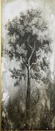 Stylecraft Tree In The Gloom I Black/Gray Wall Art-1