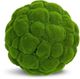 Le Present Moss Green Faux Botanical Ball-0
