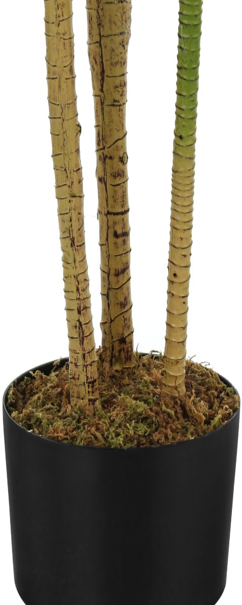 Monarch Specialties Inc. Black 51" Artificial Potted Dracaena Tree-1