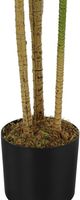 Monarch Specialties Inc. Black 51" Artificial Potted Dracaena Tree-1