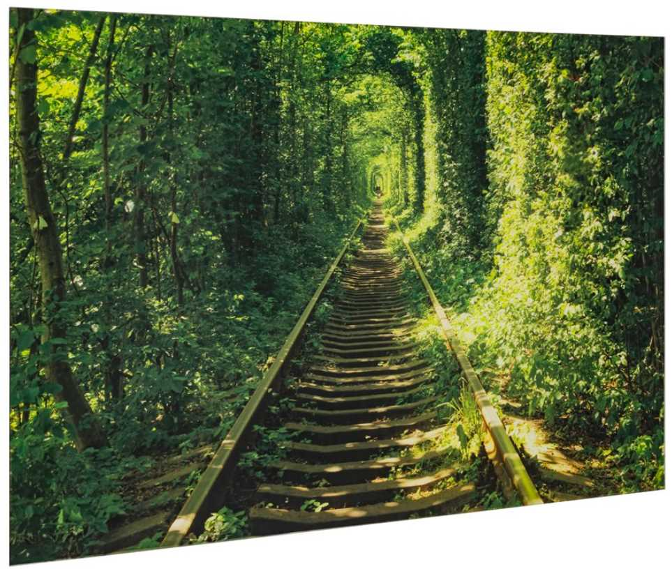Yosemite Home Decor Tunnel Of Love Wall Art - Thumbnail 3