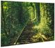 YHD Tunnel Of Love Green Wall Art-1