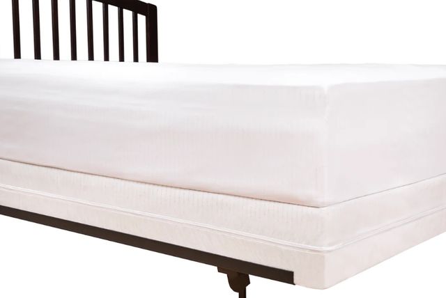 SlumberShield® Twin Foundation Encasement-2