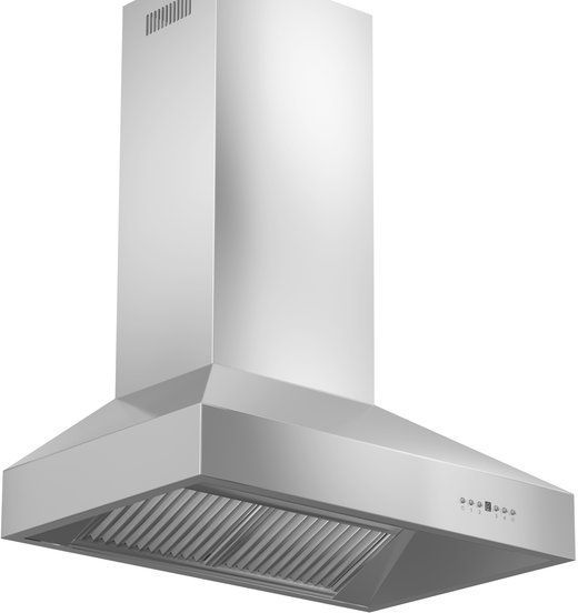 ZLINE 30" Stainless Steel Outdoor Wall Mounted Range Hood-3