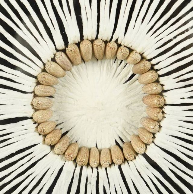 StyleCraft Paper Shell Disk Wall Art-4