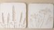 Magnolia Home by Joanna Gaines Square Pressed Speedwell Flower Plaque-3