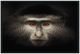 Classic Home Monkey Photography Wall Art-0