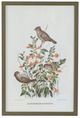 A & B Home 4-Piece Brown/Green Bird Wall Art Set-1