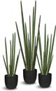 Le Present Sanseveria Green 29.5" Faux Botanical Cylindrica-1