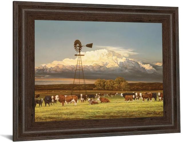 Classy Art Summer Pastures by Bonnie Mohr Framed Print Wall Art-1
