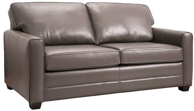 Superstyle Furniture Ltd. Customizable 1014 Leather Double Bed-0
