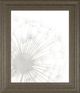 Classy Living Grace Popp Dandelion Whisper I Wall Art-0
