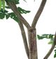 A & B Home Green 60" Polyscias Fruticosa Tree in Pot-2