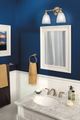 Moen® Brantford™ Brushed Nickel Two Globe Bath Light-3
