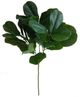 A & B Home Green Fiddle Leaf Branch-0