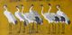 StyleCraft Song of the Crane I Wall Art-1