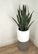 Le Present Lux Betona White And Gray 28" Cylinder Planter-5