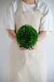 A & B Home Green 7.5" Shorn Grass Ball-3
