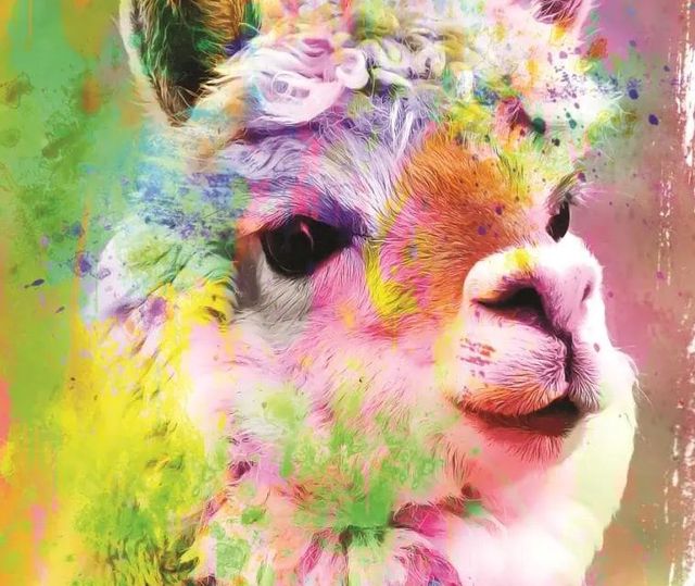 Classy Art Rainbow Llama II  by Jg Studios Wall Art-1
