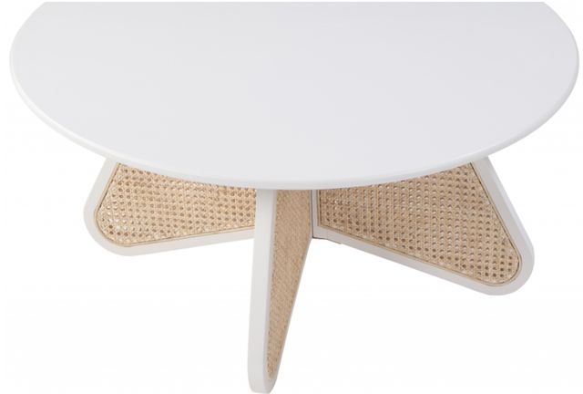 Meridian Furniture Butterfly White/Brown Coffee Table-1
