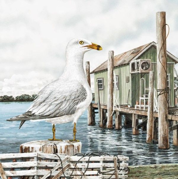 Classy Art Majestic Seagull by James Harris Wall Art-0