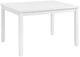 Elements International Kona White Rectangular Dining Table -0