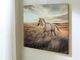 Signature Design by Ashley® Errolville Wall Art-1