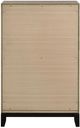 Coaster® Valen Light Taupe Chest-5