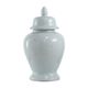 A & B Home Glossy White Ginger Jar-1
