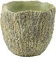 A & B Home 2-Piece Natural Green Planters-1